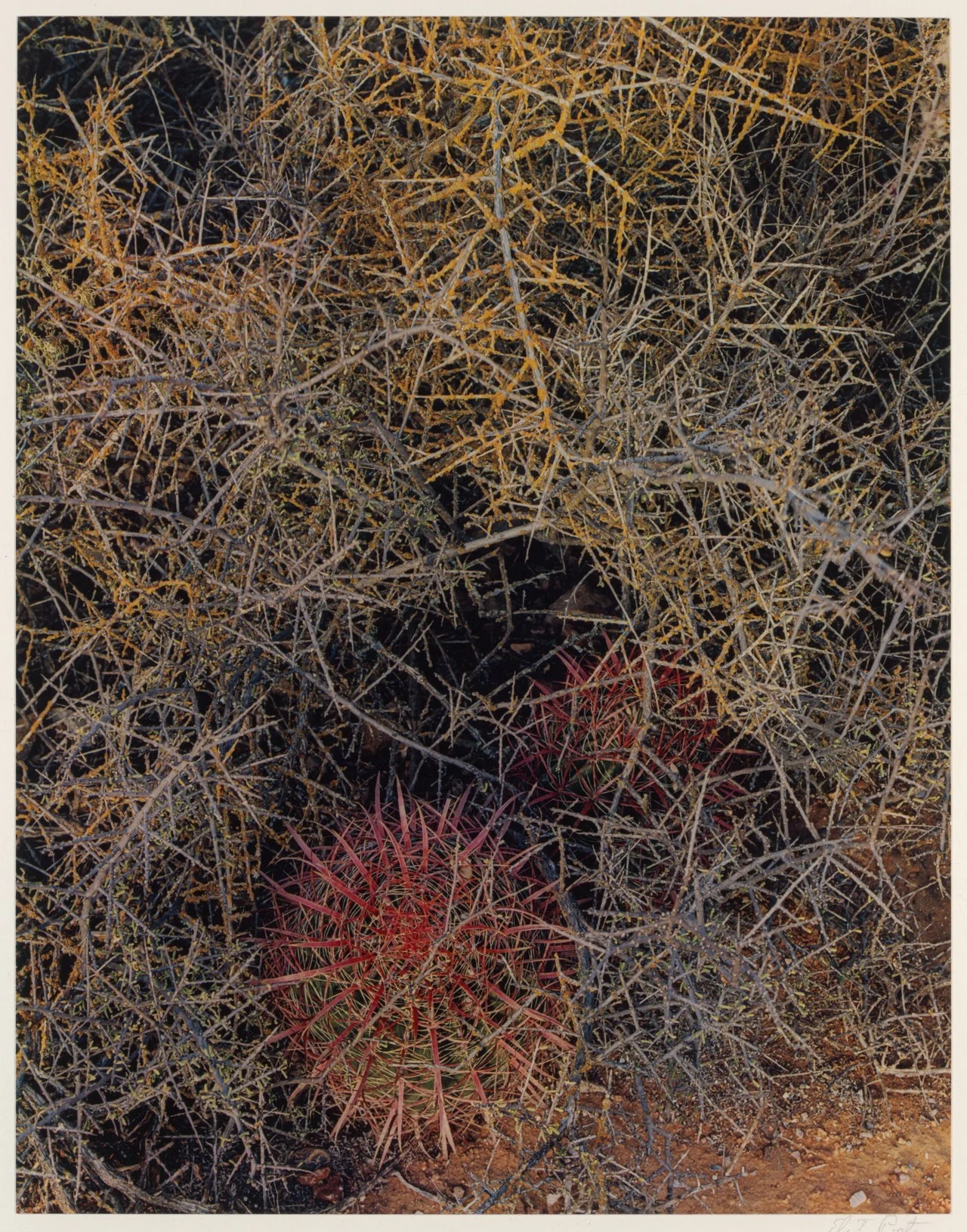 Elliot Porter's In Wildness Is the Preservation of the World (1962) was the earliest and best known book of color nature photography. Later he partnered with James Gleick in the book Nature's Chaos (1990), expanding on the theme of the higher o…